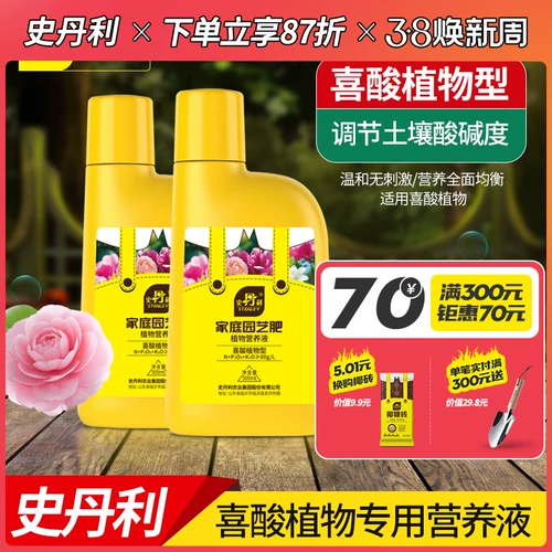 Стэнли Маунтин Камелия Жасмин Рододендрон Кука