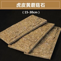 15*30 см, тигровая кожа желтая 1 квадрат