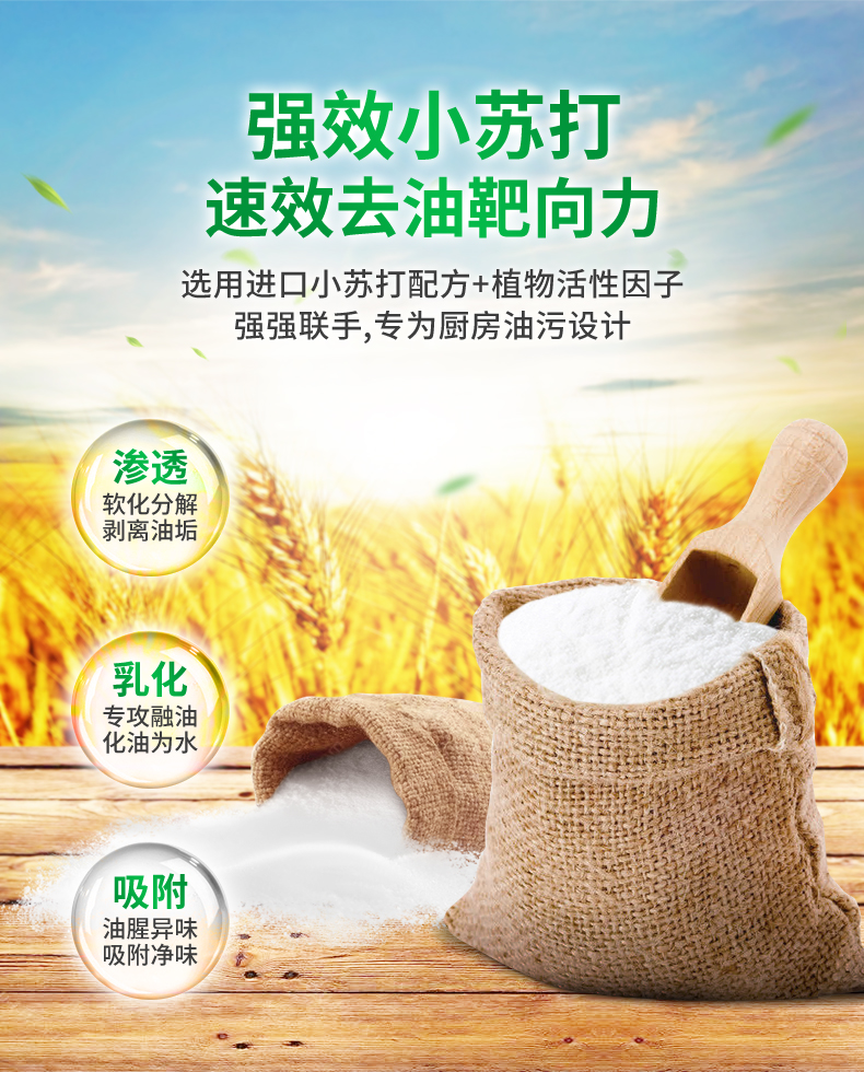德国进口 菲洛施Frosch 抽油烟机油污清洗剂 500ml*3瓶 图6