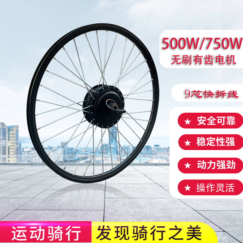Mountain Bike Converted to Electric Bike with 36V48V Kit 500W750W Rear-Wheel Drive High-Speed Front and Rear Motor
