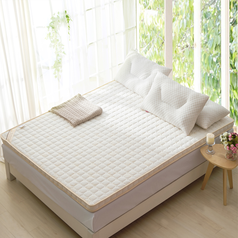 Nệm hồi phục chậm Bộ nhớ ký túc xá sinh viên cotton đơn Nệm nệm 褥 áp suất không 90x190 - Nệm nệm cao su nhập khẩu