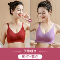 Кирпичный красный+фиолетовый (темперамент)