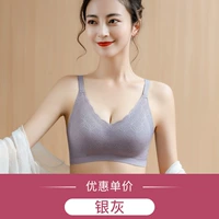 Серебряный серый (модель темперамента)