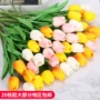 Hoa tulip nhân tạo bình hoa đặt nhà giả hoa trang trí bó hoa khô trang trí phòng khách bàn hoa trang trí - Hoa nhân tạo / Cây / Trái cây cây giả trang trí trong nhà