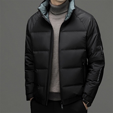 羽绒服男冬季新款加厚保暖休闲中年男士上衣爸爸装立领白鸭绒外套，男装羽绒服，电商B212（原钱塘6029）