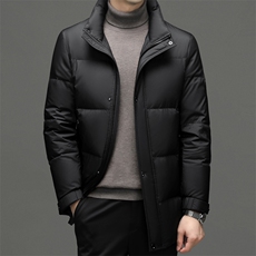 BJY15335钱塘2020-2冬季厚款商务休闲立领中年男士羽绒服P315，男装羽绒服，钱塘207-2