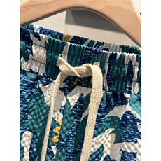流行痞帅印花短裤男款夏季新款潮牌外穿五分裤男士休闲运动沙滩裤，男装牛仔裤，电商B212（原钱塘6029）