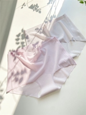 蝉翼一片式内裤，内裤，禾雯电商供货