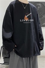 HQT1299-TP25控价38秋季长袖体恤大皂风2022男印花宽松长袖T恤，男装T恤，电商A102-1