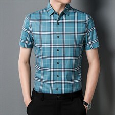 C8931夏季男士短袖衬衫青年休闲绅士修身衬衣免烫商务P66，男装衬衫，电商B360