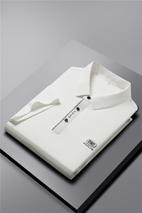 短袖Polo衫男装高档夏季新款宽松半袖商务休闲翻领时尚T恤图片