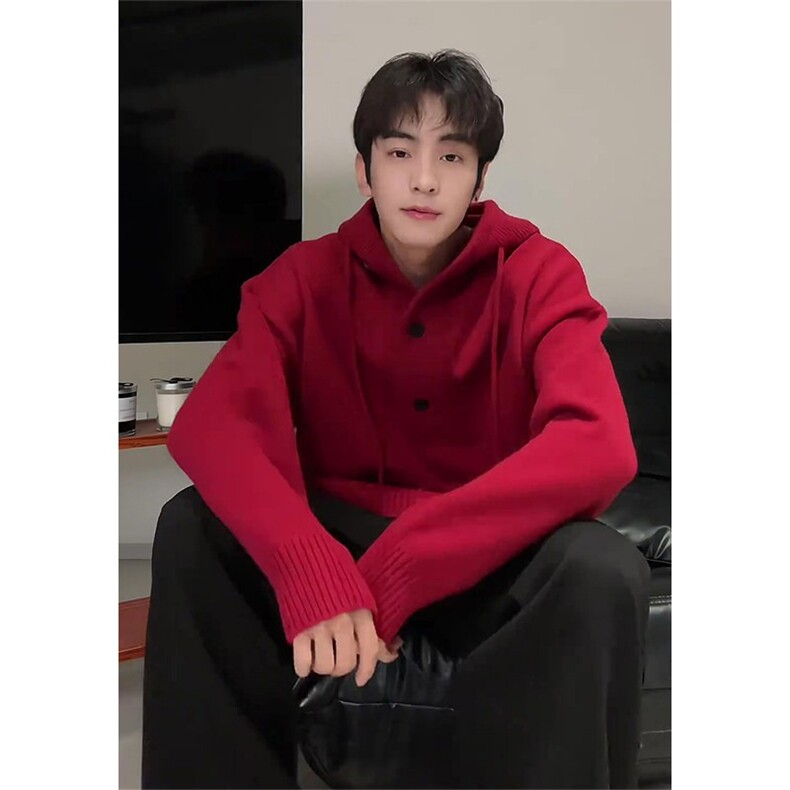 现货3千件DGT3-特批43高质量北极绒连帽毛衣,男装针织衫/毛衣,星座603-2