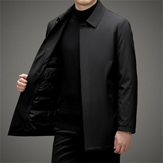 BAMJ-8989钱塘2020-2中年男士冬季厚款商务休闲简约羽绒服P225，男装羽绒服，钱塘207-2