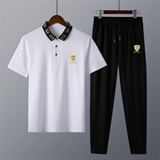 短袖T恤套装男夏季半截袖体恤翻领上衣两件套舒适透气服饰，男装休闲套装，电商B212（原钱塘6029）