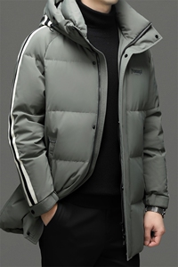 DF8222钱塘2020-2中年男士冬季厚款时尚休闲有帽羽绒服P335图片