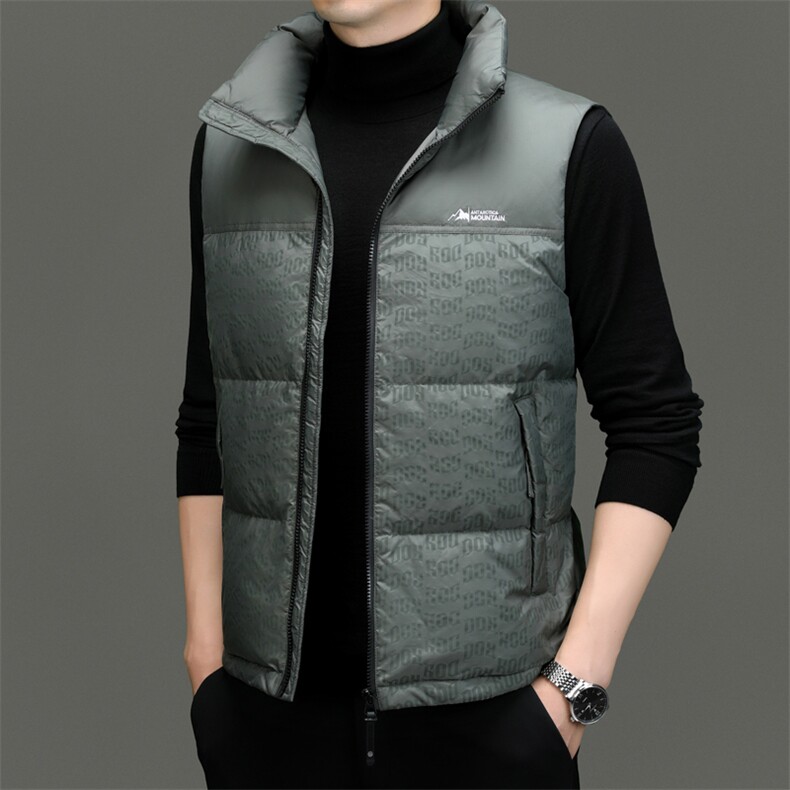 DF8010钱塘2020-2冬季百搭简约新款厚款中年男士羽绒服P170,男装羽绒服,钱塘207-2