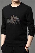 春秋季圆领卫衣男士宽松纯棉套头打底衫长袖t恤中年印花上衣，男装卫衣，电商B212（原钱塘6029）