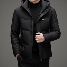 DAJ23809钱塘2020-2新款百搭冬季厚款中年男士羽绒服外套P230，男装羽绒服，钱塘207-2