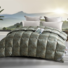 新款全棉柔赛丝印花白鹅绒冬被，被套/被芯，一起卖家纺