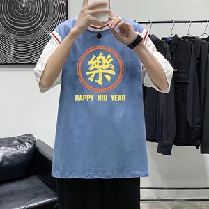 男圆领T恤宽松短袖假两件Q914P28图片