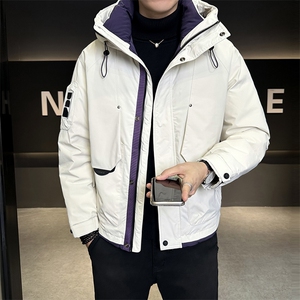 M-3XL 8810-P225 标50绒 三色连帽冲锋衣羽绒服男图片