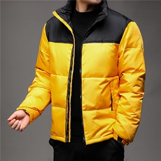 秋冬季新款立领羽绒服男士白鸭绒轻薄潮服休闲潮流韩版保暖外套，男装羽绒服，钱塘6003（原4033）