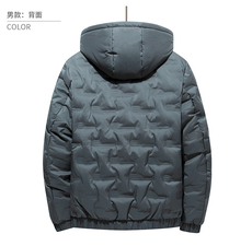 现货外贸侧飞图立领光板团体服班服宽松韩版情侣学生外套羽绒服，男装羽绒服，星座301D-5(原星座1415）