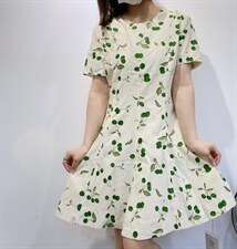 新款减龄假两件韩系裙，其它，帝瀛 DY