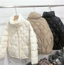 冬装新款，全航线90绒，其它，她西子