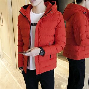 2020冬季新款棉服男士保暖棉衣外套加厚棉袄DS206T图片