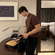 半高领套头针织T恤男士型男短袖毛衣潮流修身打底半袖衫Z09，男装T恤，星座1116A（原606A-3）
