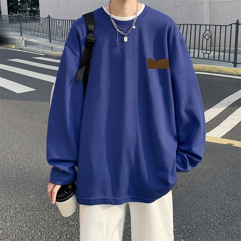 抖音供货、秋季现货舒适棉宽松重磅长袖T恤D223A-CT2324-特P28,男装T恤,电商019-1