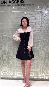 春装连衣裙图片