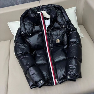 (网图)亮面羽绒服男士冬季青年休闲加厚羽绒服313B-2600羽绒-P180图片
