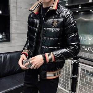 2021秋冬季新款立领羽绒服男加厚 钱塘3029-1928  真模图片