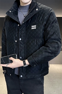 大货标50白鸭绒冬季男装羽绒服B317-Y520-P215288图片