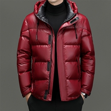 羽绒服男士中年2024冬季新款加厚保暖连帽上衣休闲面包服外套男装，男装羽绒服，电商B212（原钱塘6029）