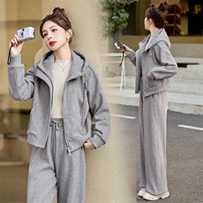 2025春季新款休闲潮流气质显瘦抽绳连帽运动套装时尚套装两件套，女装套装/套裙，浙宝220