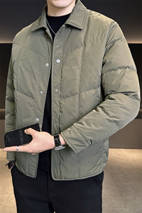 冬季棉服男2025新款翻领轻薄保暖外套男装棉衣C317-M8381-P135图片