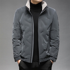 羽绒服冬季男休闲立领中年男2023冬装外套爸爸装GSNA21582-P225，男装羽绒服，电商B212（原钱塘6029）