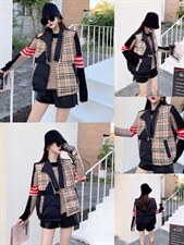 黑白俩色，其它，柳梢青