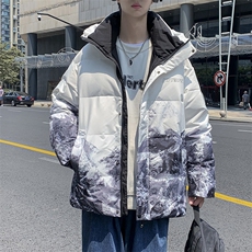 现货外贸侧飞图立领光板团体服班服宽松韩版情侣学生外套羽绒服，男装羽绒服，星座301D-5(原星座1415）