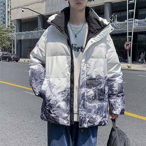 现货 外贸侧飞图立领光板团体服班服宽松韩版情侣学生外套羽绒服图片