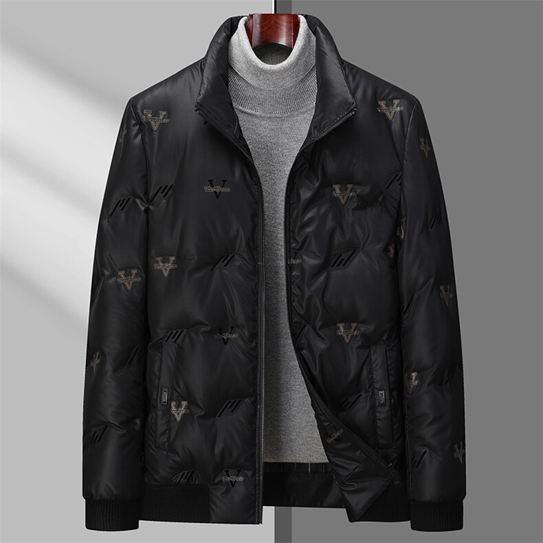 冬季白鸭绒立领羽绒服休闲男士简约短款时尚商务户外防寒男外套，男装羽绒服，钱塘6003（原4033）