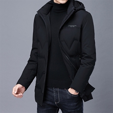 AN9379钱塘2020-3秋冬中年男士连帽羽绒服商务休闲男装外套P220，男装羽绒服，钱塘207-3