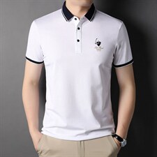 POLO衫男上衣半袖男装衣服男士体恤衫T恤潮牌休闲翻领爸爸短袖男，男装T恤，电商B212（原钱塘6029）