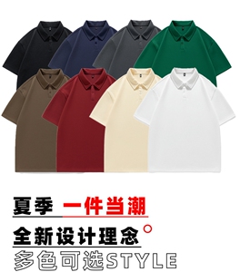 得物抖音二开 珠地网眼透气面料 纯色宽松短袖T恤翻领POLO衫 PL09图片