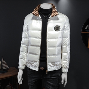 冬季新款亮面立领羽绒服男士潮流休闲外套钱塘2027-8806-P310图片