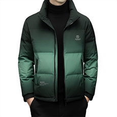 CA101022630钱塘2020-时尚休闲潮流帅气中年男士羽绒服P240，男装羽绒服，钱塘207-2