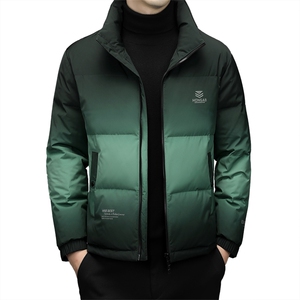 CA101022630钱塘2020-时尚休闲潮流帅气中年男士羽绒服P240图片